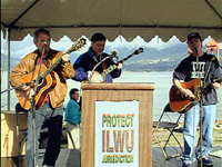 trio of musicians