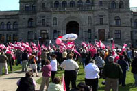 Translink rally
