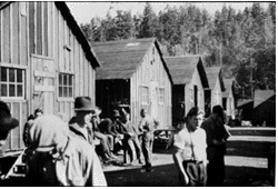 relief camp