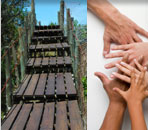 Building Bridges
